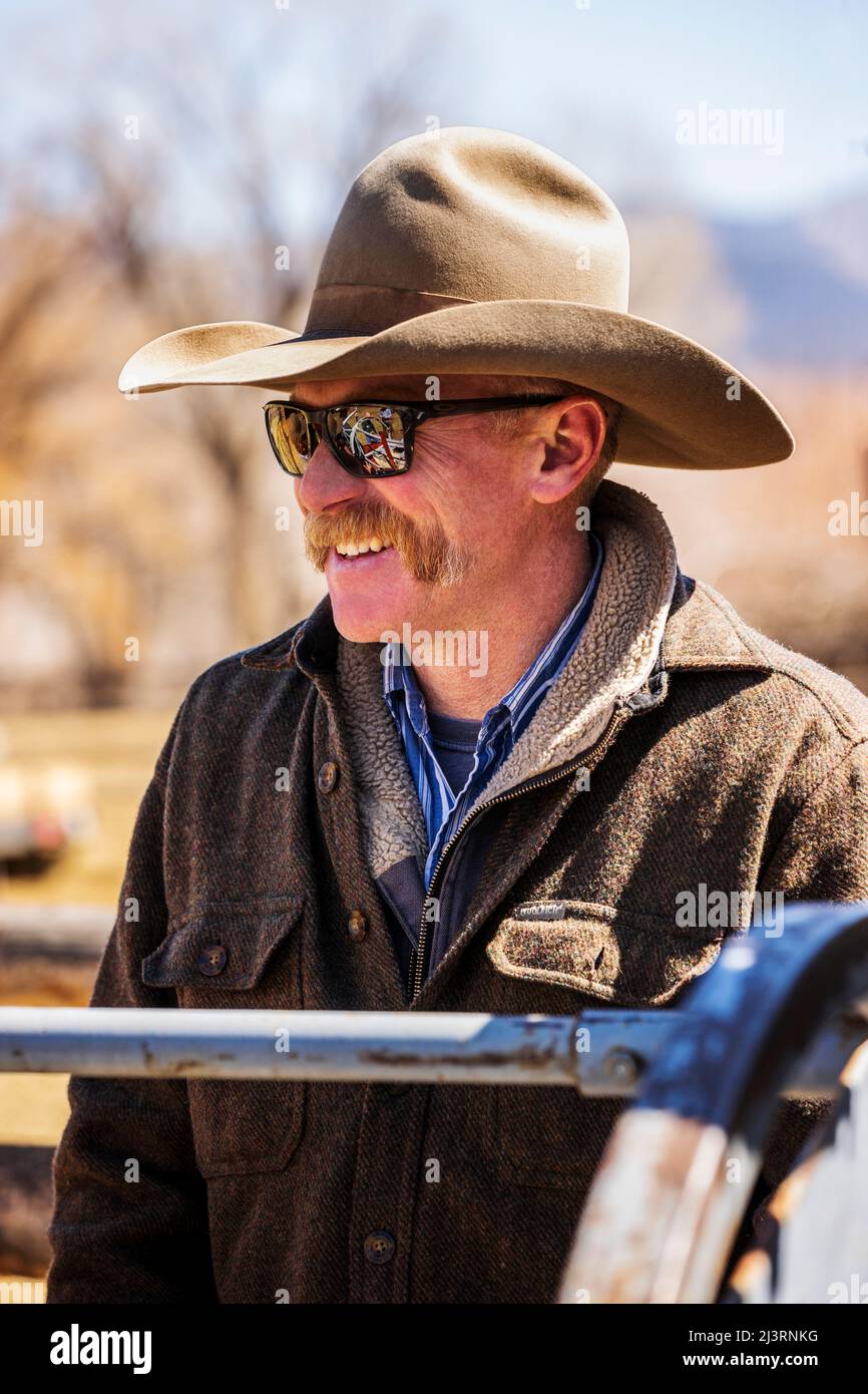 Cowboy, der bei einer Frühlingsmarkenveranstaltung auf der Hutchinson Ranch in der Nähe von Salida in Colorado, USA, arbeitet Stockfoto