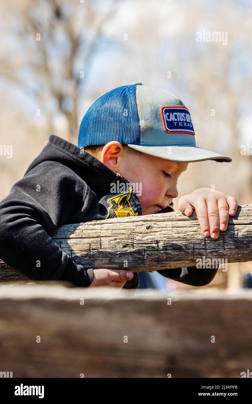 Ranch-Kinder spielen auf der Hutchinson Ranch in der Nähe von Salida im Frühjahr beim Branding Event: Colorado; USA Stockfoto