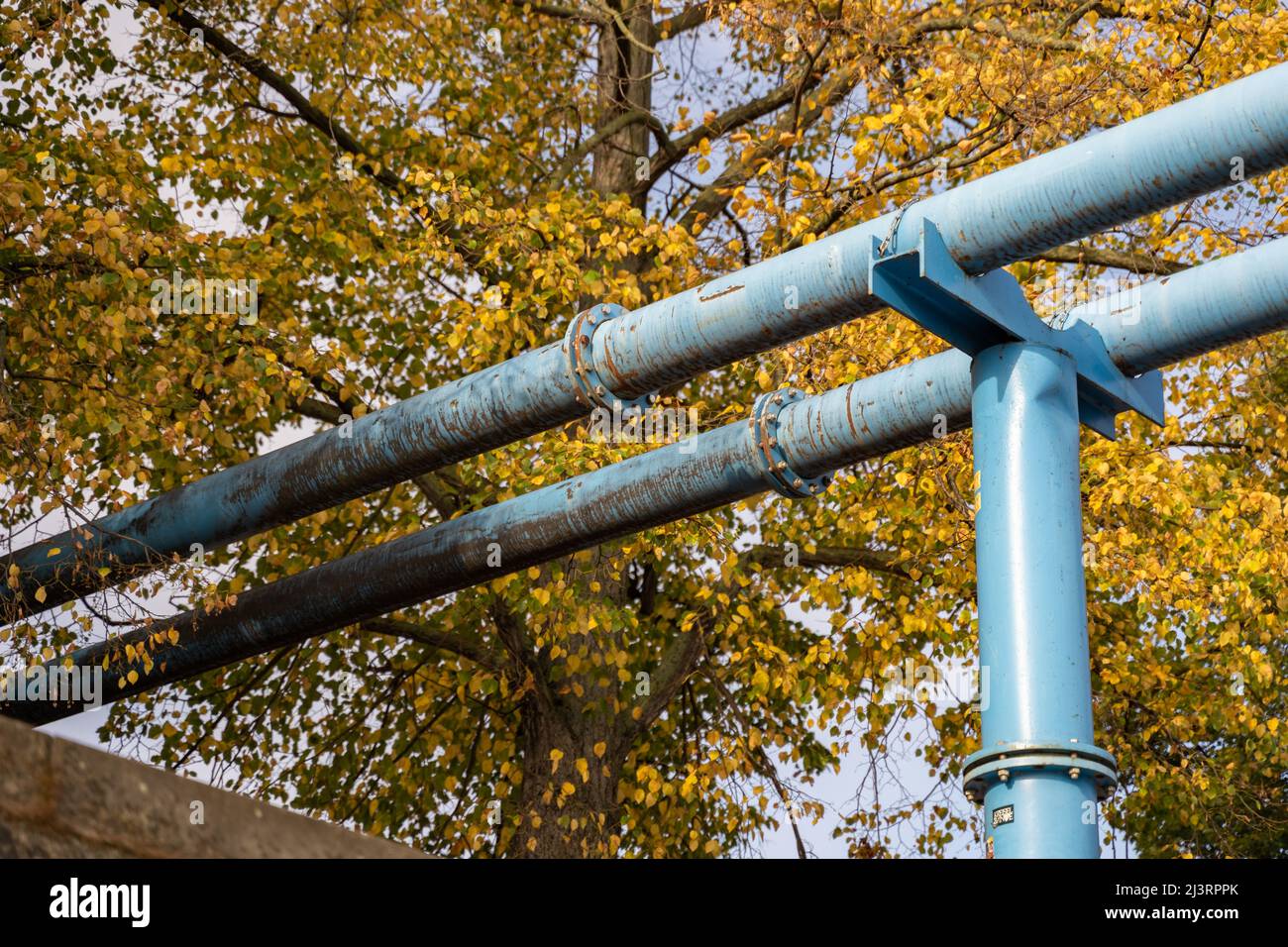 Blaue Baurohre vor einem Baum mit gelben Herbstblättern. Verwitterte schmutzige Versorgungsleitung in der Natur. Industrie im Vergleich zu Umwelt. Stockfoto