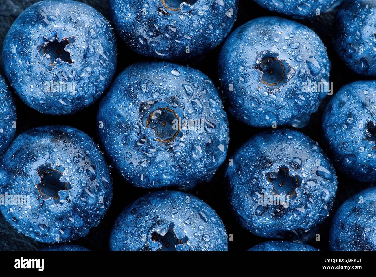 Frische reife Heidelbeeren mit Wassertropfen. Makrofoto. Beerenhintergrund. Stockfoto