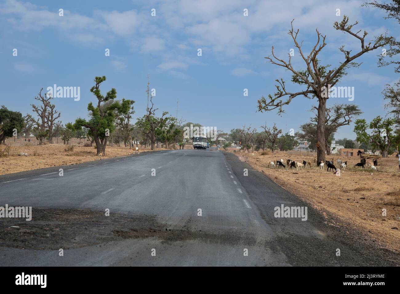 Schlechter werdende Straßenoberfläche auf asphaltierter Autobahn, in der Nähe von Koalack, Senegal. Zwei Telephone Relay Towers links von der Mitte. Stockfoto
