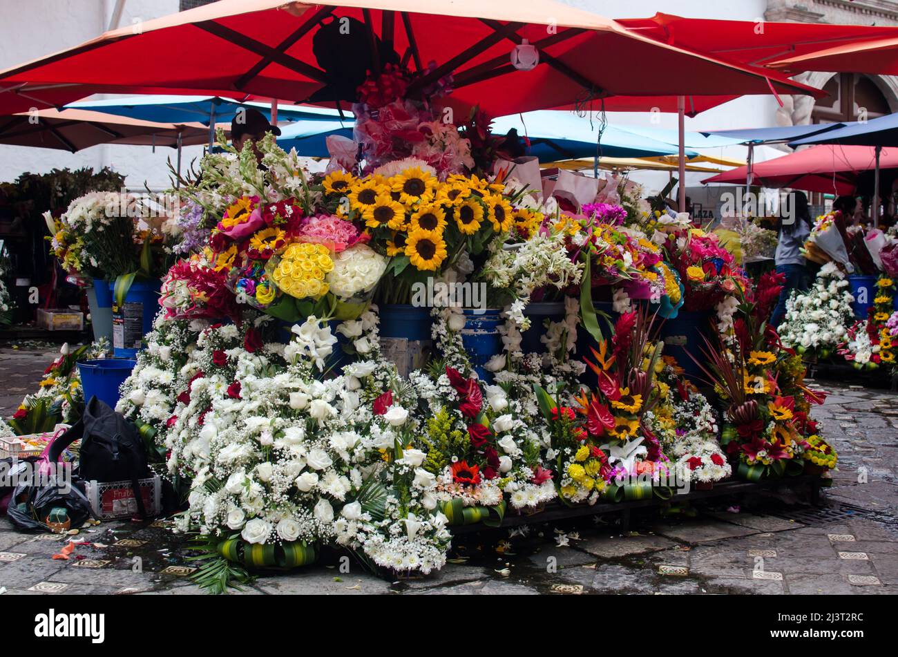Der Cuenca Flowers Market, ein lebendiger und farbenfroher Marktplatz in der Stadt Cuenca, Ecuador. Stockfoto
