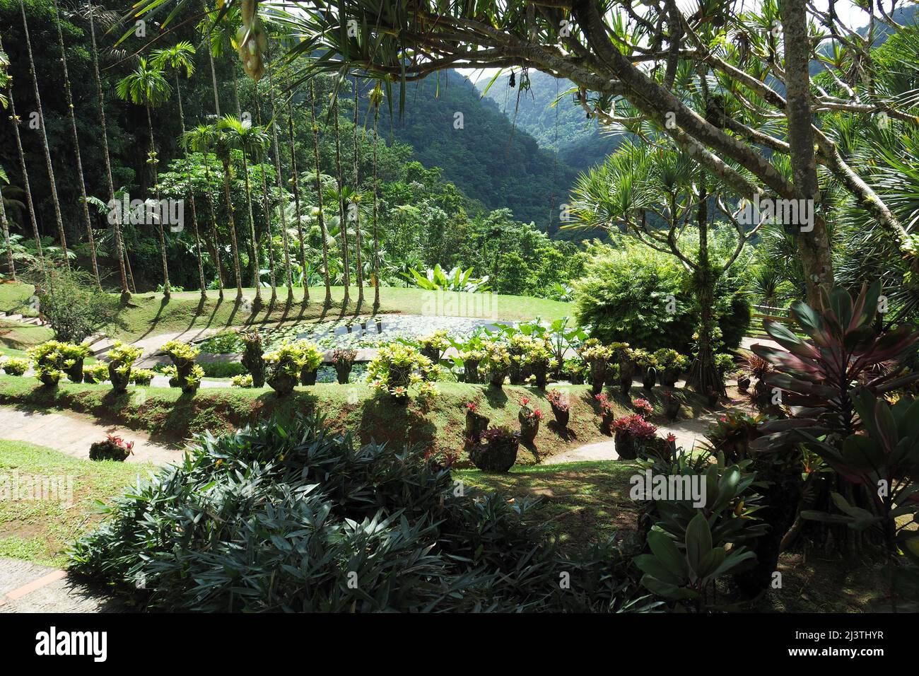 Jardin Balalta, jardin botanique de Jean-Philippe Thoze, Martinique, Fort de France, Antillen Stockfoto
