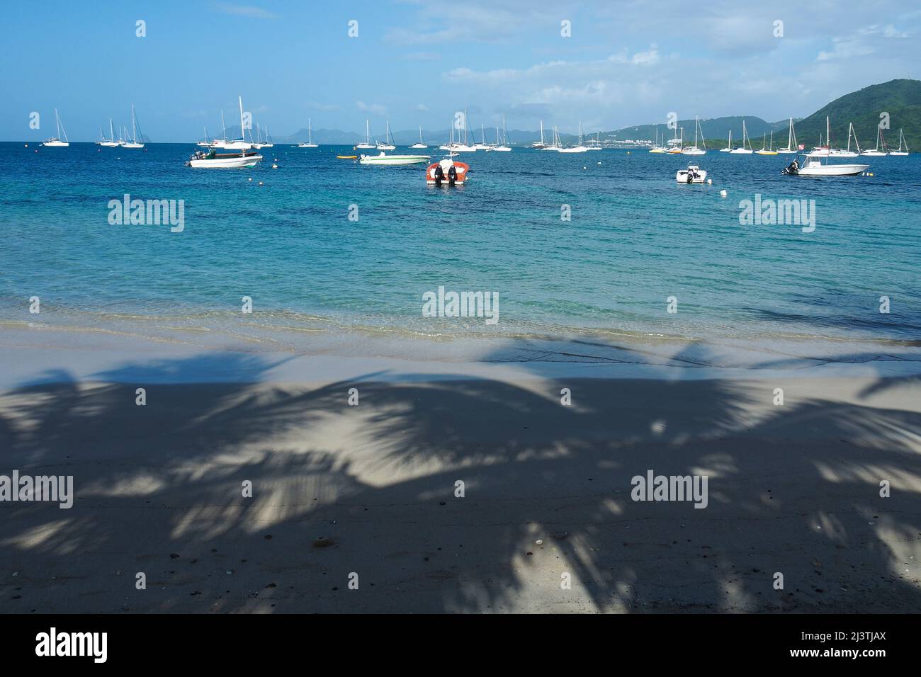 Martinique, Antillen Francaises, Saint Anne, Bord de Mer, Mer caraibes, caraibes Stockfoto