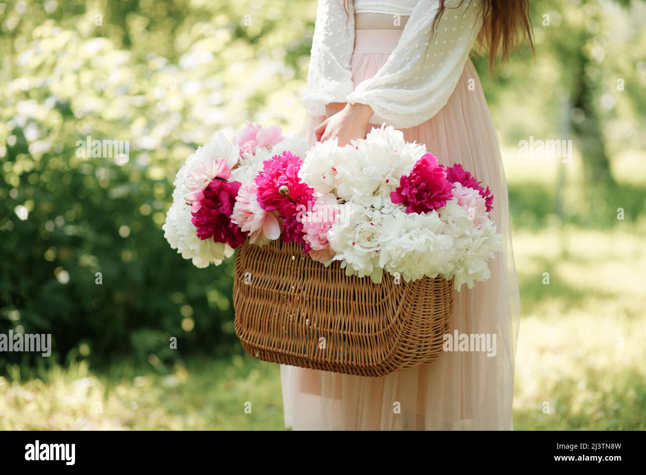 Frau mit einem Korb mit schönen frischen Pfingstrosen. Bouquet von rosa und weißen Blumen. Sommertapete. Stockfoto