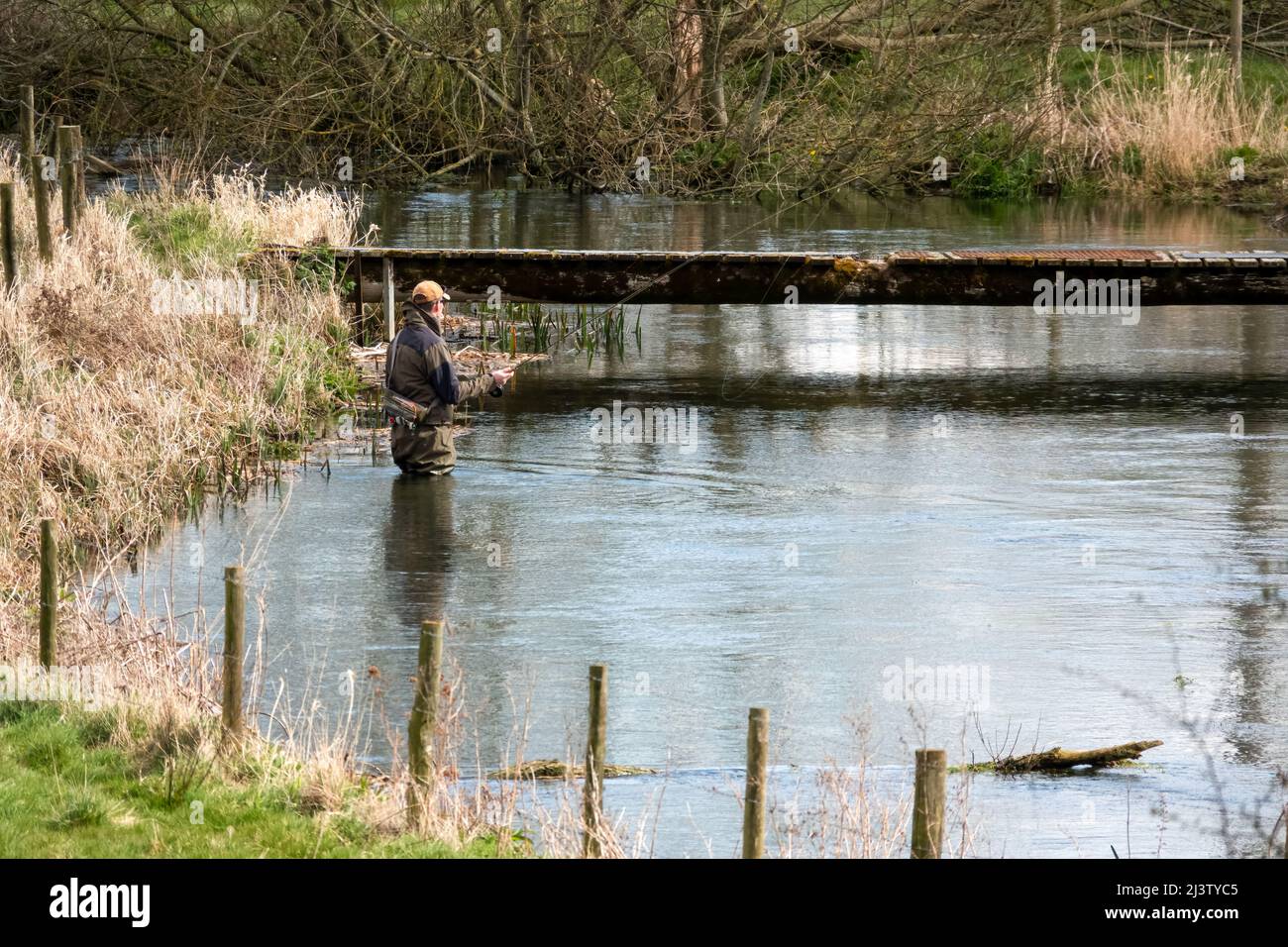 Frau waten im teich Fotos und Bildmaterial in hoher Auflösung Seite