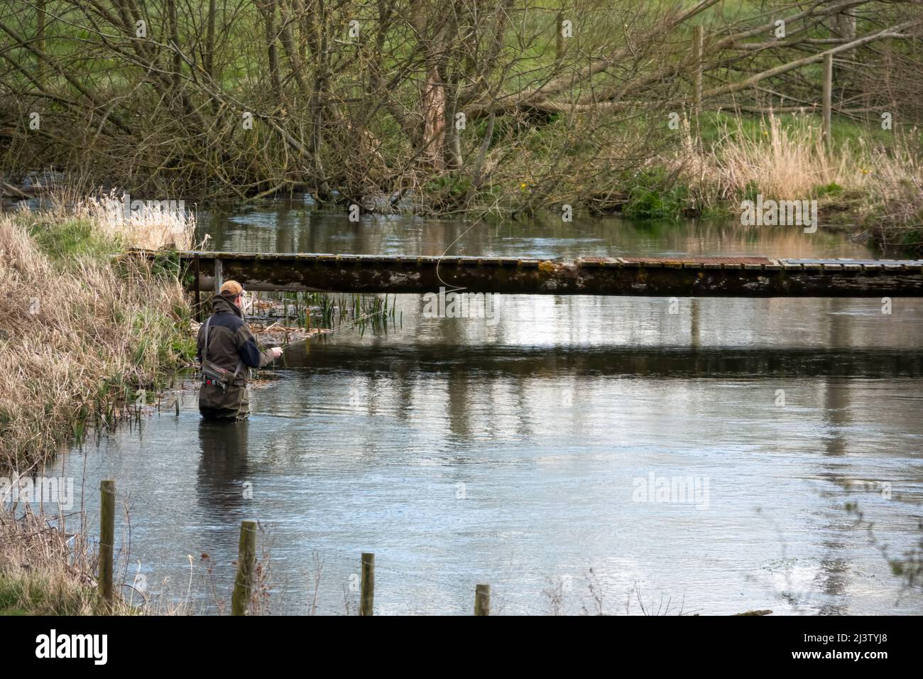 Ein Mann in Brustwarze steht im Fluss Avon, Wiltshire Fliegenfischen für Bachforelle Stockfoto