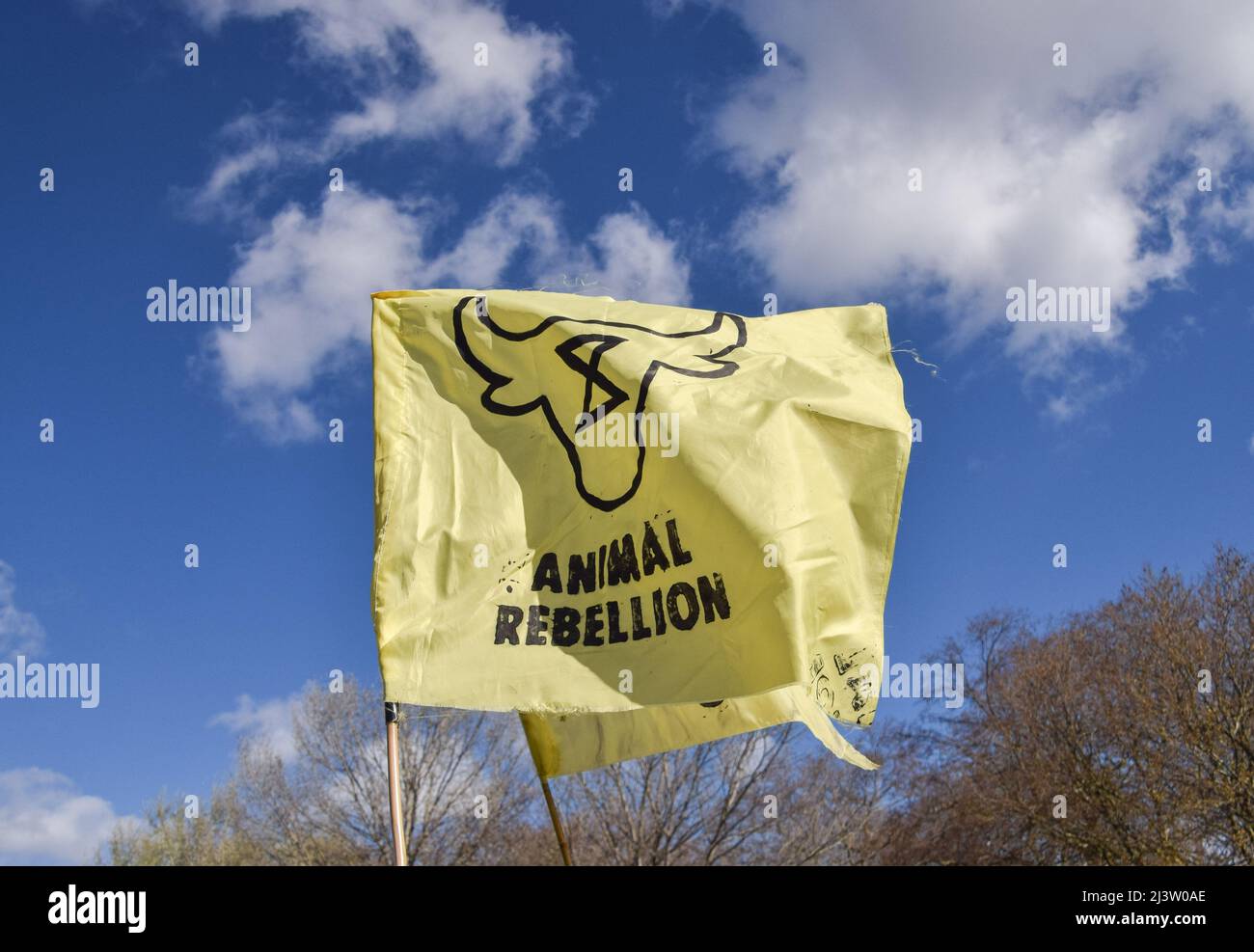 London, Großbritannien. 9.. April 2022. Ein Protestler hält im Hyde Park eine Flagge der Tieraufstand. Tausende von Rebellion-Demonstranten marschierten durch das Zentrum von London und blockierten die Straßen und forderten die Regierung auf, fossile Brennstoffe zu beenden und gegen den Klimawandel zu handeln. Stockfoto