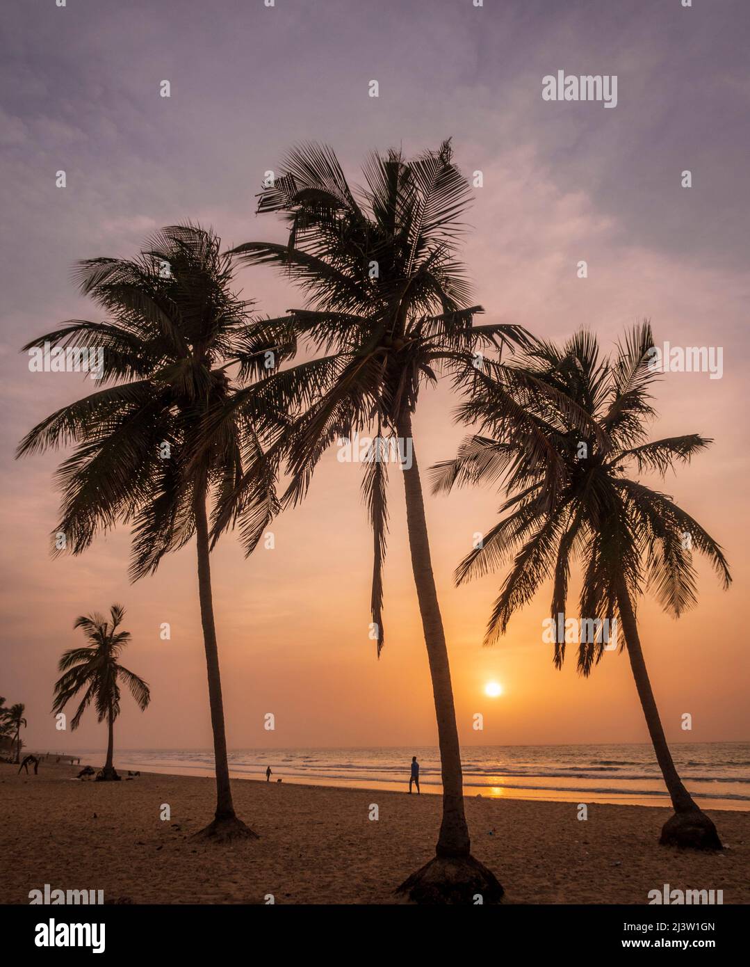 Schöner Sonnenuntergang durch die Palmen am Kotu Strand Senegambia an der westafrikanischen Küste von Gambia Stockfoto