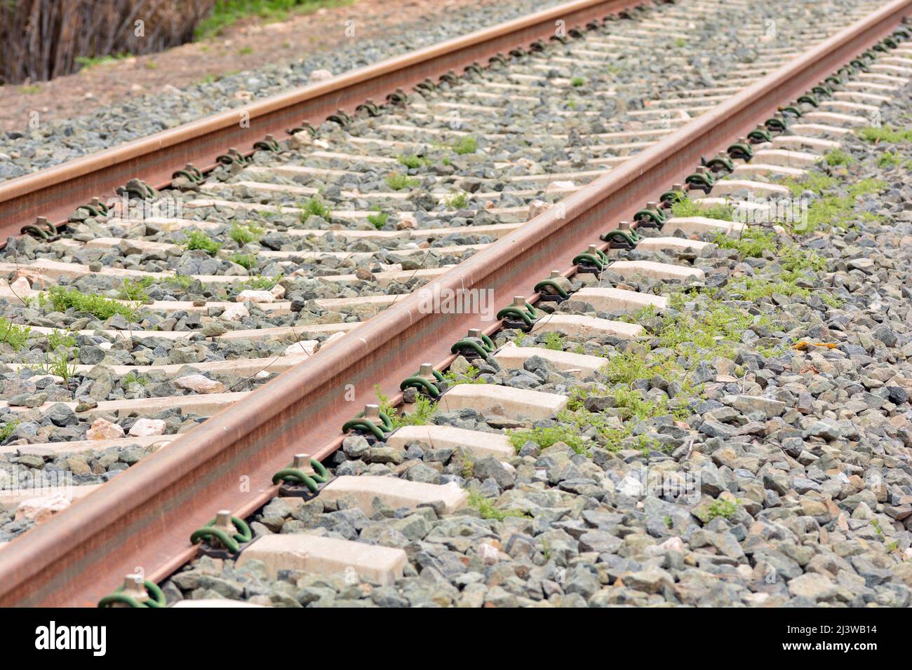 Vía férrea del tren en primavera Stockfoto