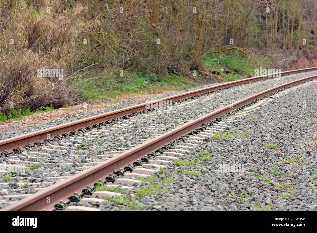 Vía férrea del tren en primavera Stockfoto