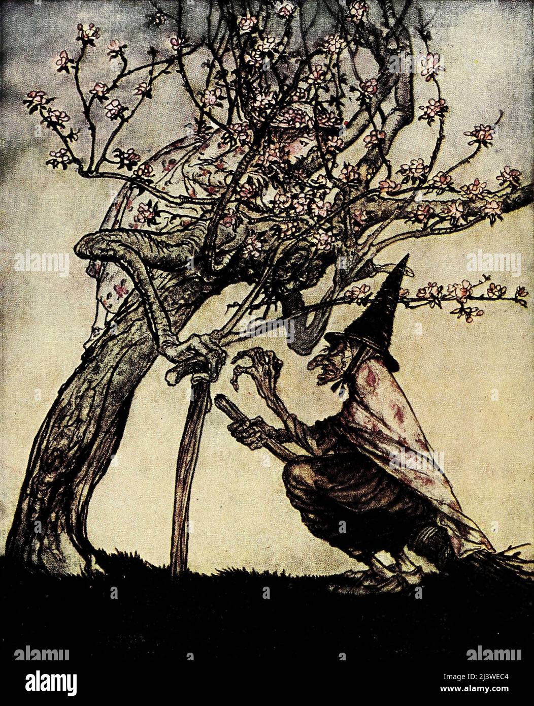 Baum von mir, hast du meine freche kleine Maid gesehen? Aus „The Two Sisters“ aus dem Buch „English Fairy Tales“ von Flora Annie Steel, Webster, illustriert von Arthur Rackham, Publisher New York, The Macmillan Company 1918 Stockfoto