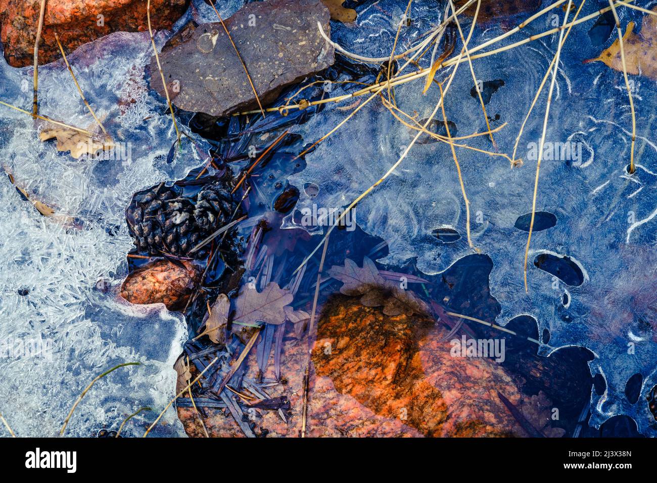Nahaufnahme von Eismustern in einem Bach im Grasshopper Canyon in New Mexico Stockfoto