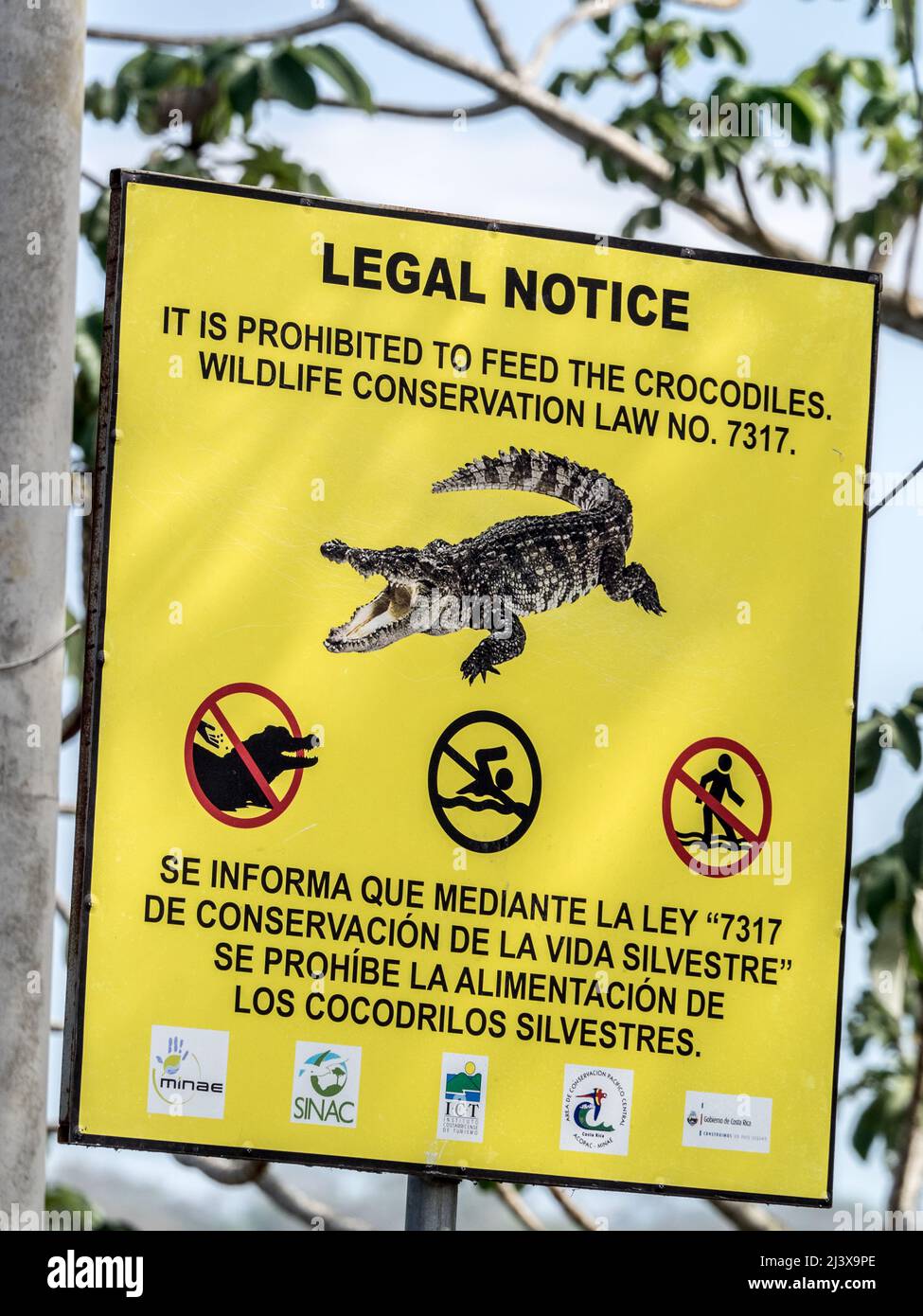 Schild, das anzeigt, dass es verboten ist, die Krokodile in Costa Rica zu füttern. Stockfoto