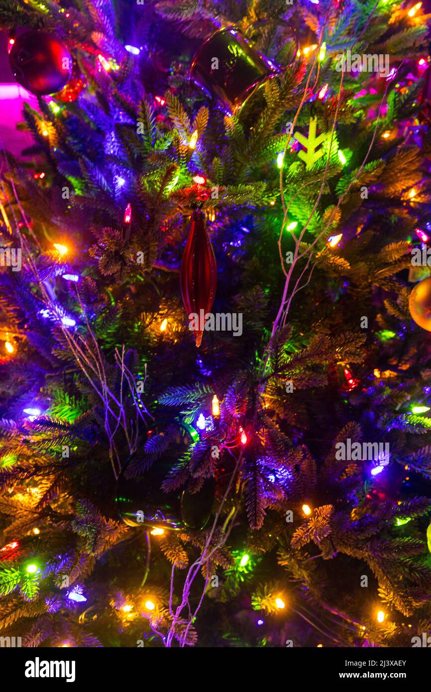 Nahaufnahme eines weihnachtsbaums mit bunten Lichterketten Stockfoto