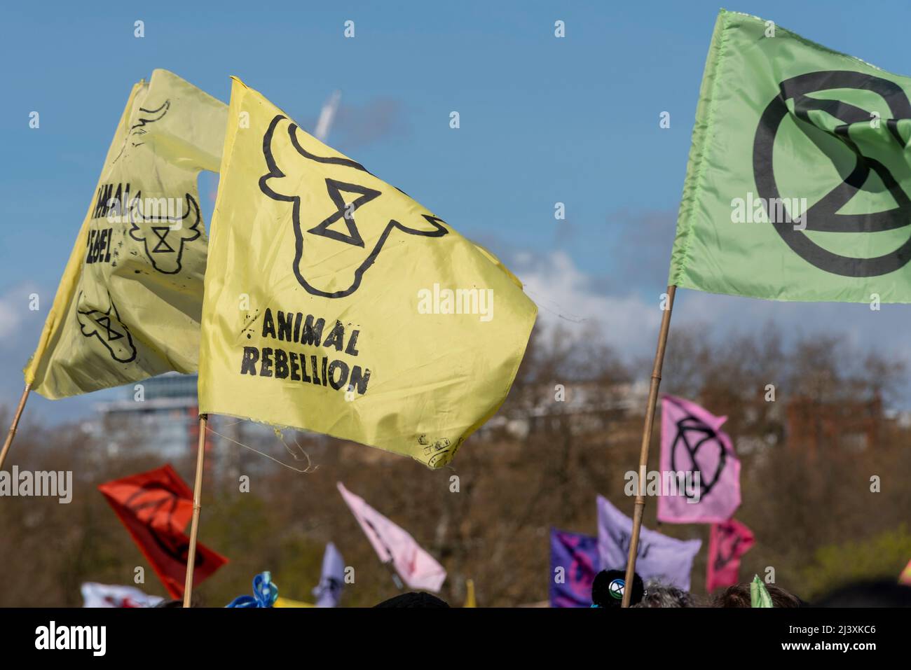 Extinction Rebellion Protestierende startenden in London ab dem 9. April 2022 eine Phase ziviler Störungen. Flaggen der Tieraufstand Stockfoto