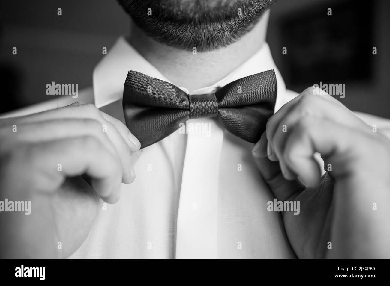 Grüne Fliege um den Hals eines Mannes. Hochzeit Stockfoto
