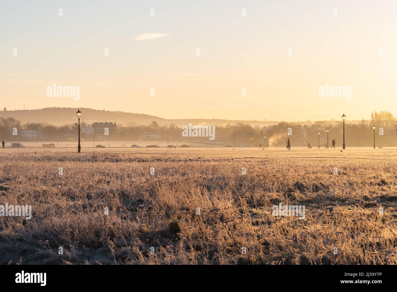 Ein Blick auf Blackheath Common im Winter bei einem warmen Sonnenuntergang. Man kann sehen, wie die Menschen ihren Morgen genießen. Stockfoto