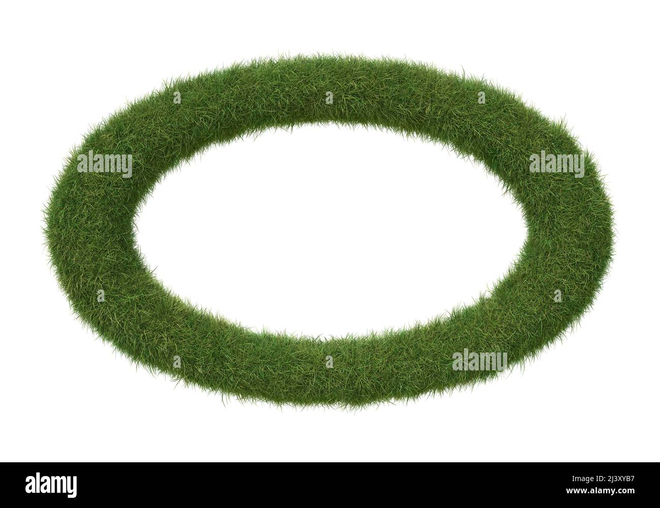 Ellipsenförmiger Rahmen aus Gras, isoliert auf Weiß. 3D Bild Stockfoto
