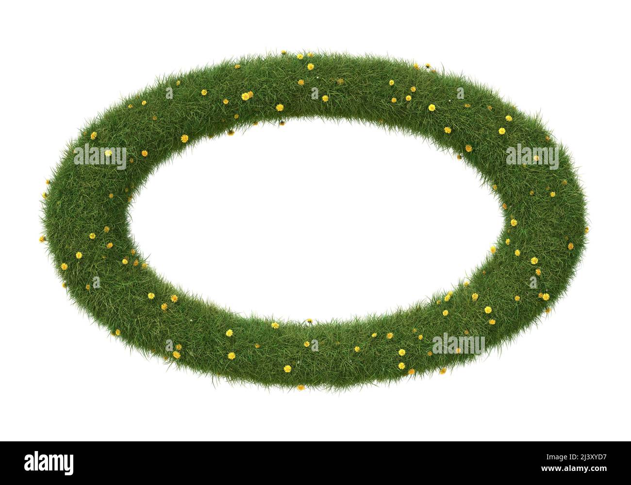 Ellipsenförmiger Rahmen aus Gras und Elendelionen, isoliert auf Weiß. 3D Bild Stockfoto