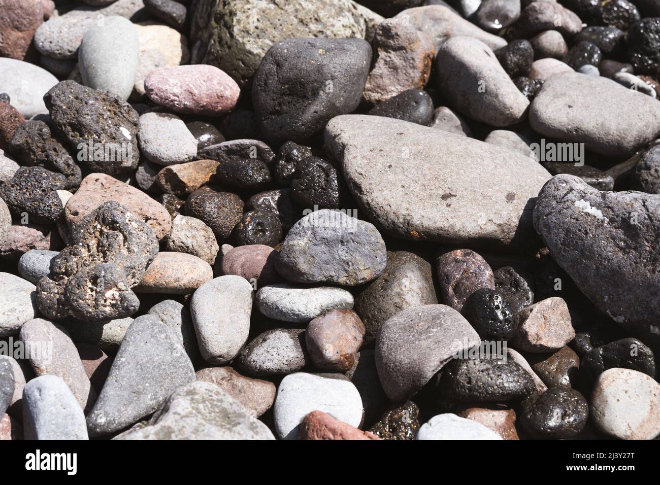 Nasse und trockene Steine, die vom Sonnenlicht am Strand gebadet wurden. Verschiedene Formen und Größen gewaschen Kieselsteine Textur Hintergrund Stockfoto