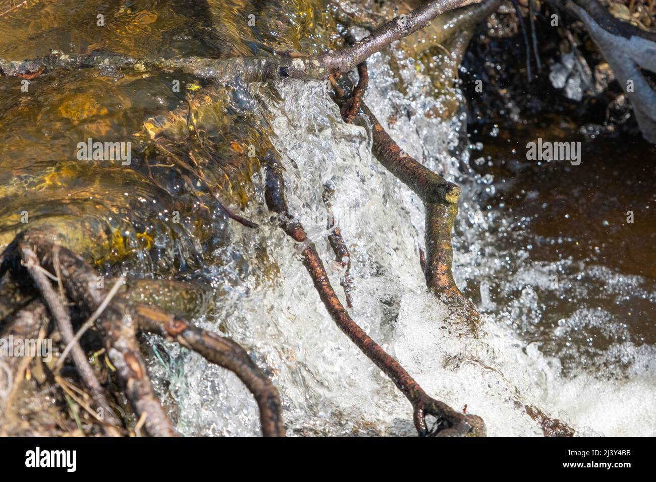 Kühles fließendes Wasser in einem natürlichen Bach im frühen Frühjahr. Stockfoto