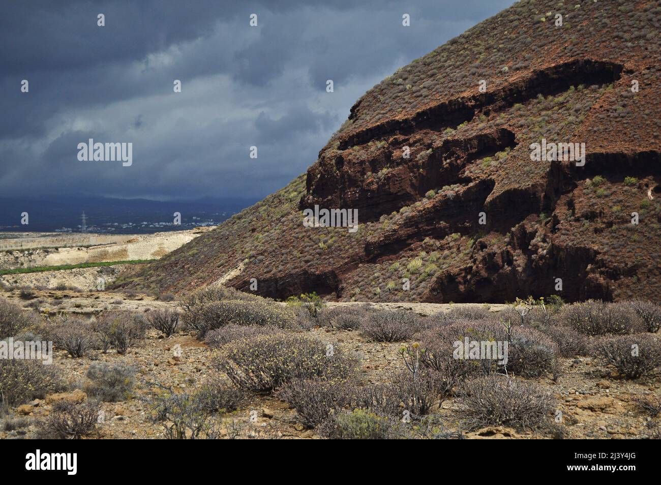 Erodierte vulkanische Berge und sukkkkkkulente Sträucher wachsen in der ariden Landschaft von Teneriffa Süd, Kanarische Inseln Spanien. Stockfoto