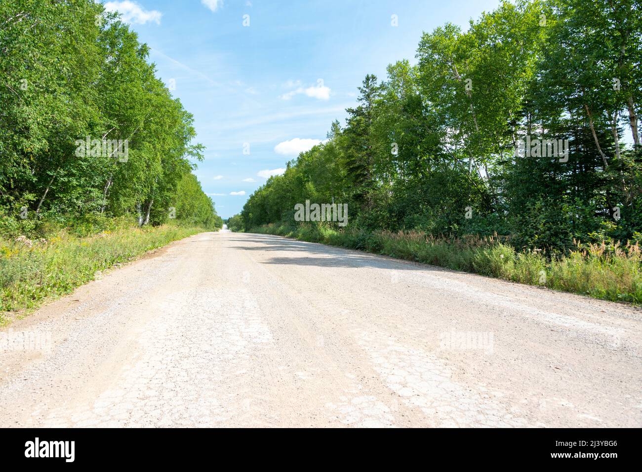 Landstraße mit Herbstbäumen und Sträuchern an den Seiten. Der Himmel ist bewölkt mit Blau im Hintergrund. Die lange asphaltierte Straße befindet sich in der Mitte Stockfoto