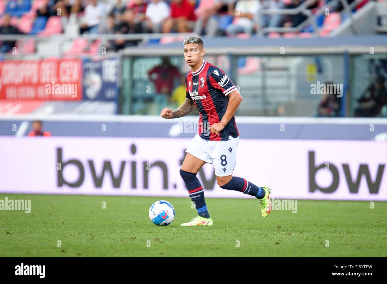 Bologna's Nicolas Dominguez Portrait während des FC Bologna vs. Genua (Portraits Archiv), italienisches Fußballspiel Serie A in Bologna, Italien, September 21 2021 Stockfoto