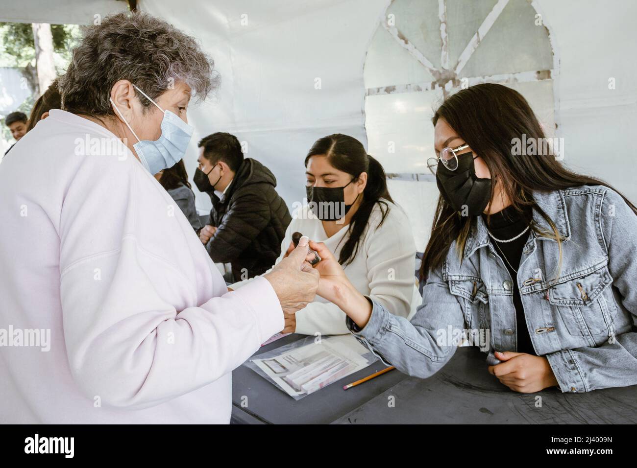 Die Bürger gehen an die Wahlen, um an der Bürgerkonsultation für die Auflösung des Mandats des mexikanischen Präsidenten Andres Manuel Lopez Obrador (A) zu stimmen Stockfoto