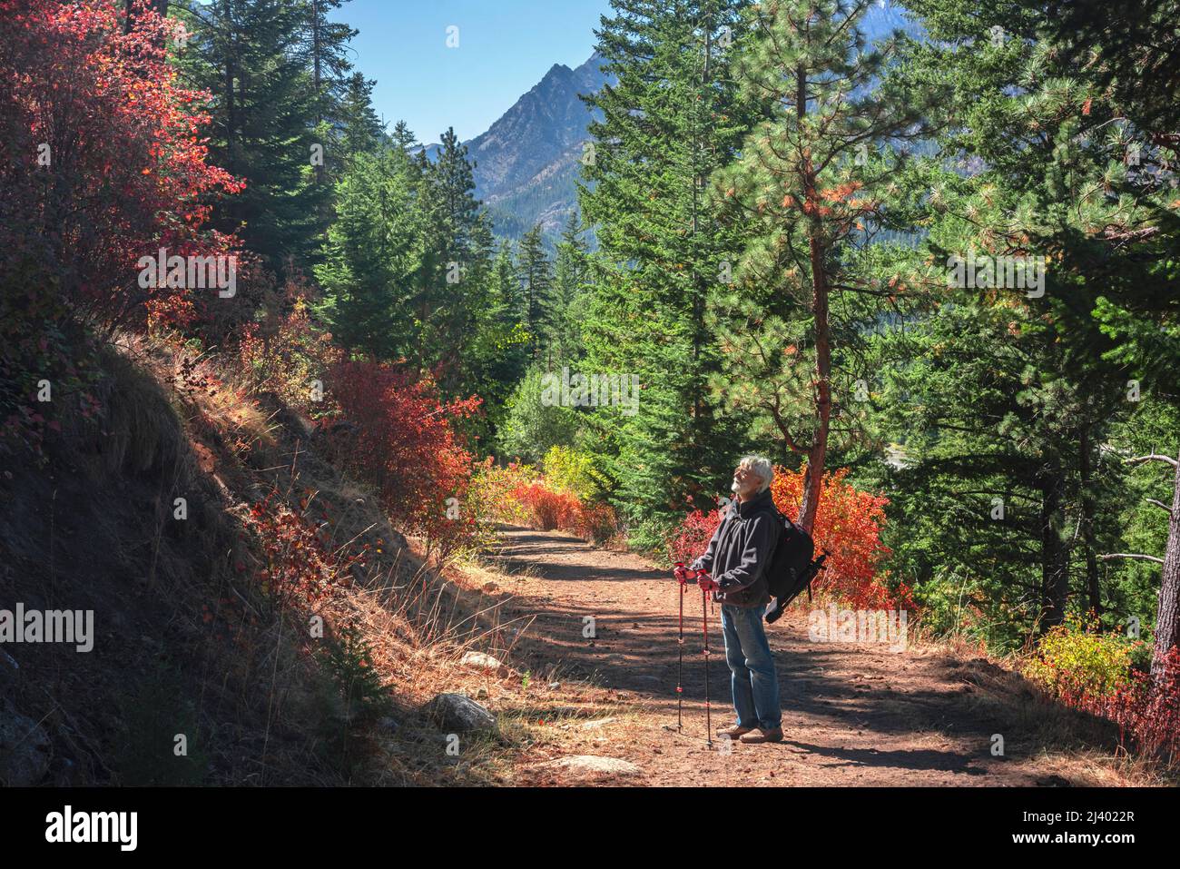 Wandern an der Ostmoräne, Wallowa Lake, Oregon Stockfoto
