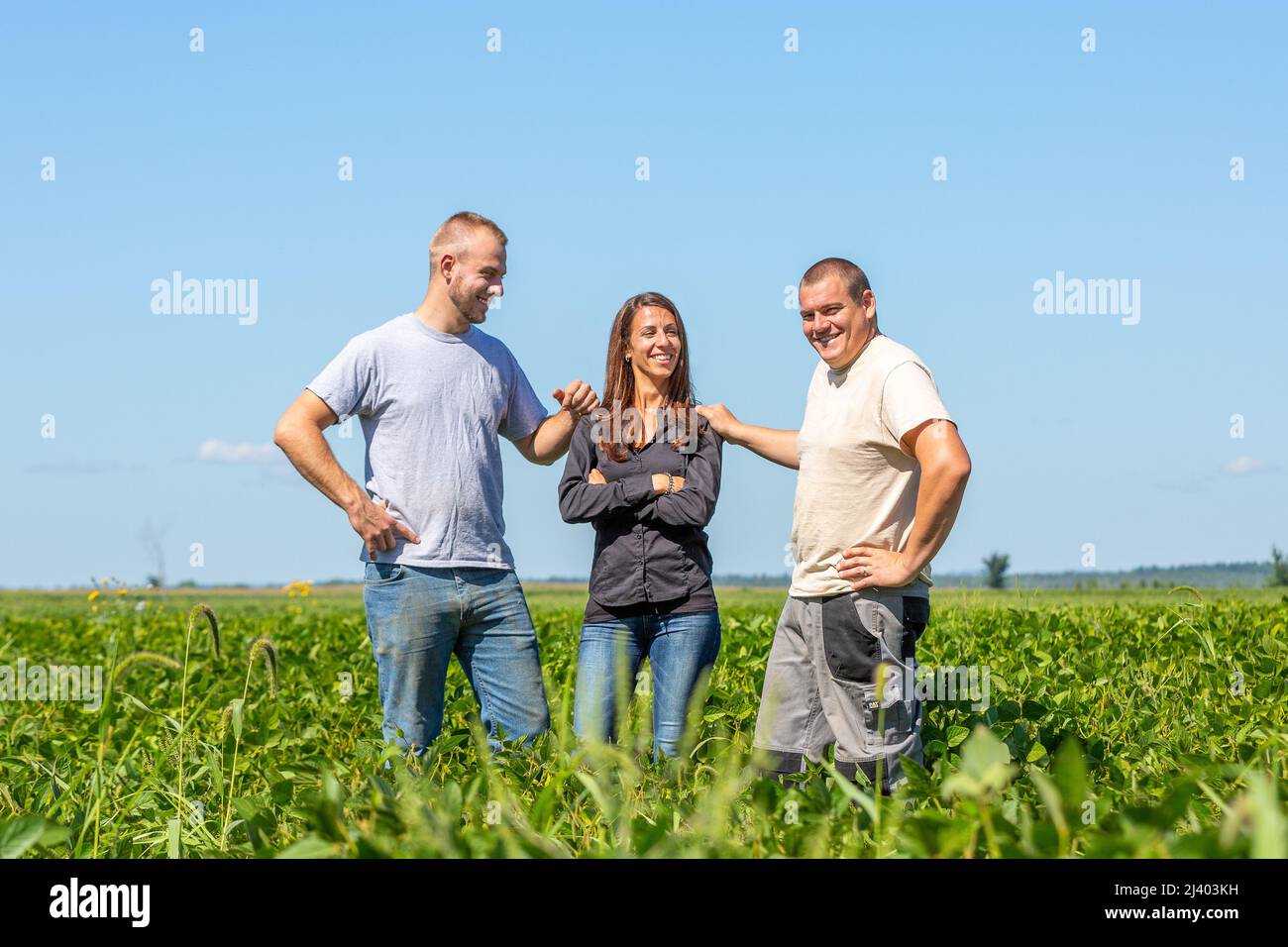 Junge moderne landwirtschaftliche Unternehmer in einem Sojafeld. Hochwertige Fotos Stockfoto