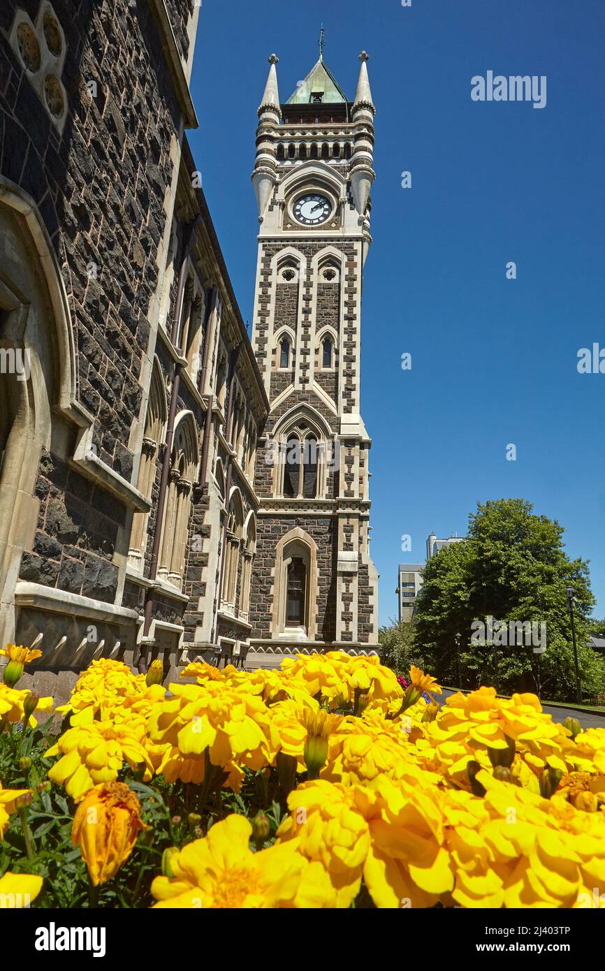 Uhrturm, Registergebäude, Universität von Otago, Dunedin, Südinsel, Neuseeland Stockfoto