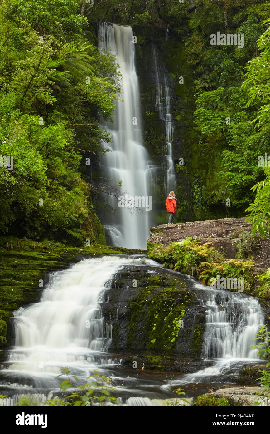 McLean Falls, Catlins, South Island, Neuseeland Stockfoto