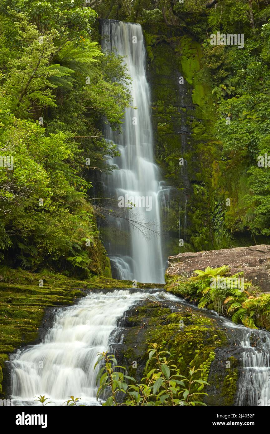 McLean Falls, Catlins, South Island, Neuseeland Stockfoto