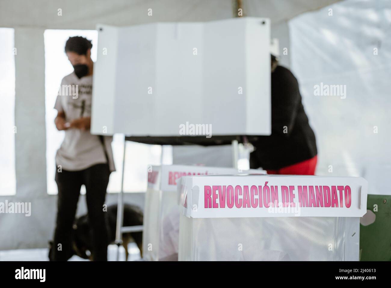 Die Bürger gehen an die Wahlen, um an der Bürgerkonsultation für die Auflösung des Mandats des mexikanischen Präsidenten Andres Manuel Lopez Obrador (A) zu stimmen Stockfoto