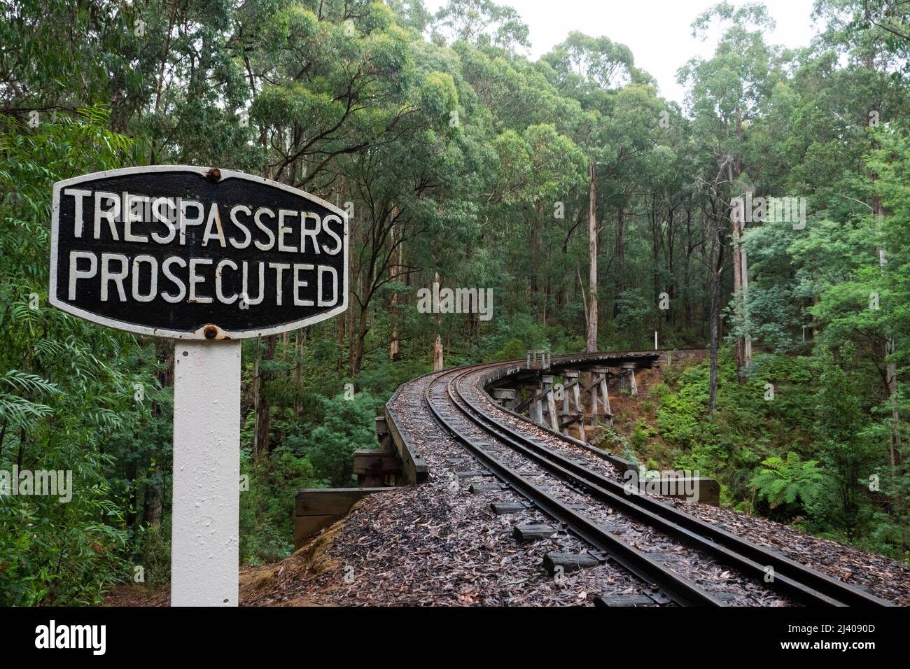 Historische Puffing Billy Railway Tracks, Dandenong Ranges Stockfoto