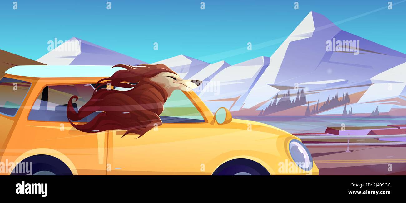 Fröhlicher Hund fährt im Auto mit dem Kopf aus dem offenen Fenster. Vektor-Cartoon-Illustration von afghanischen Hund Reisen im Fahrzeug, Freude des Windes der Geschwindigkeit fahren. Berglandschaft mit Straße und Auto mit Hund Stock Vektor