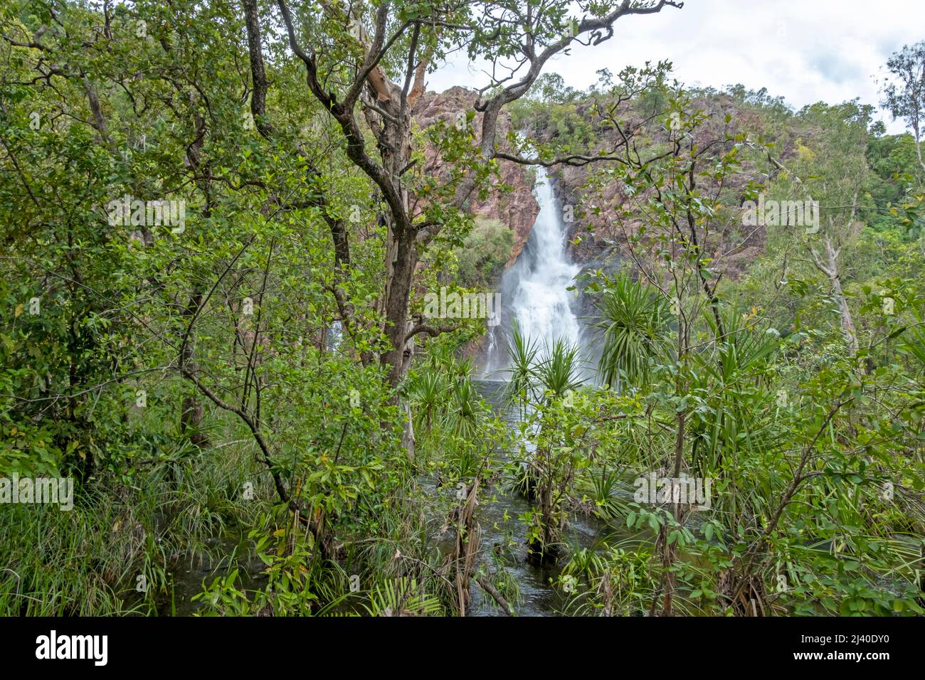 Wangi Falls, Litchfield Nationalpark, Northern Territory, Australien Stockfoto