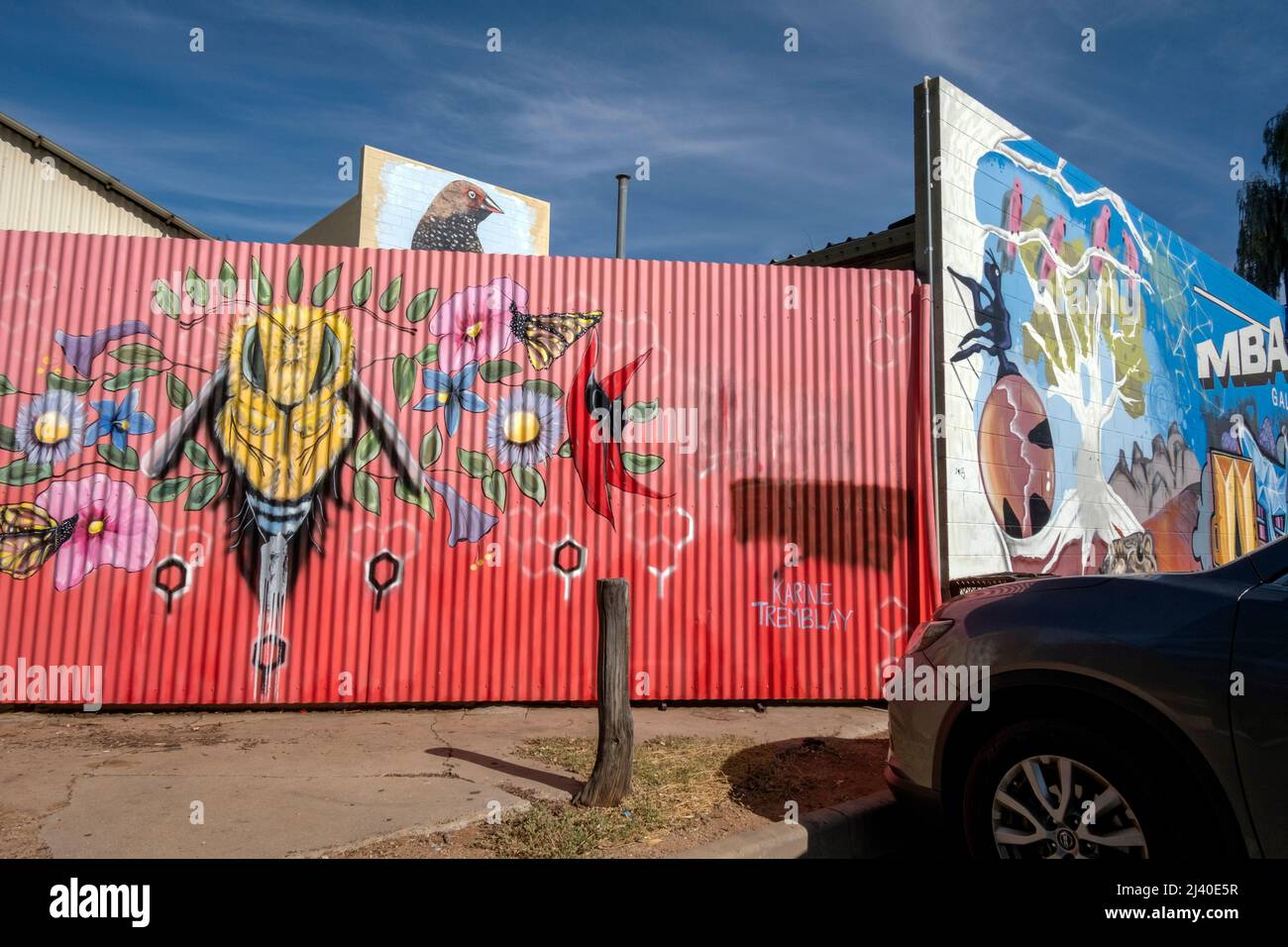 Wandgemälde an einer Wand im Zentrum von Alice Springs, Northern Territory, Australien. Stockfoto