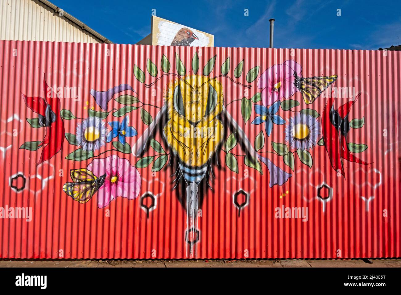 Wandgemälde an einer Wand im Zentrum von Alice Springs, Northern Territory, Australien. Stockfoto