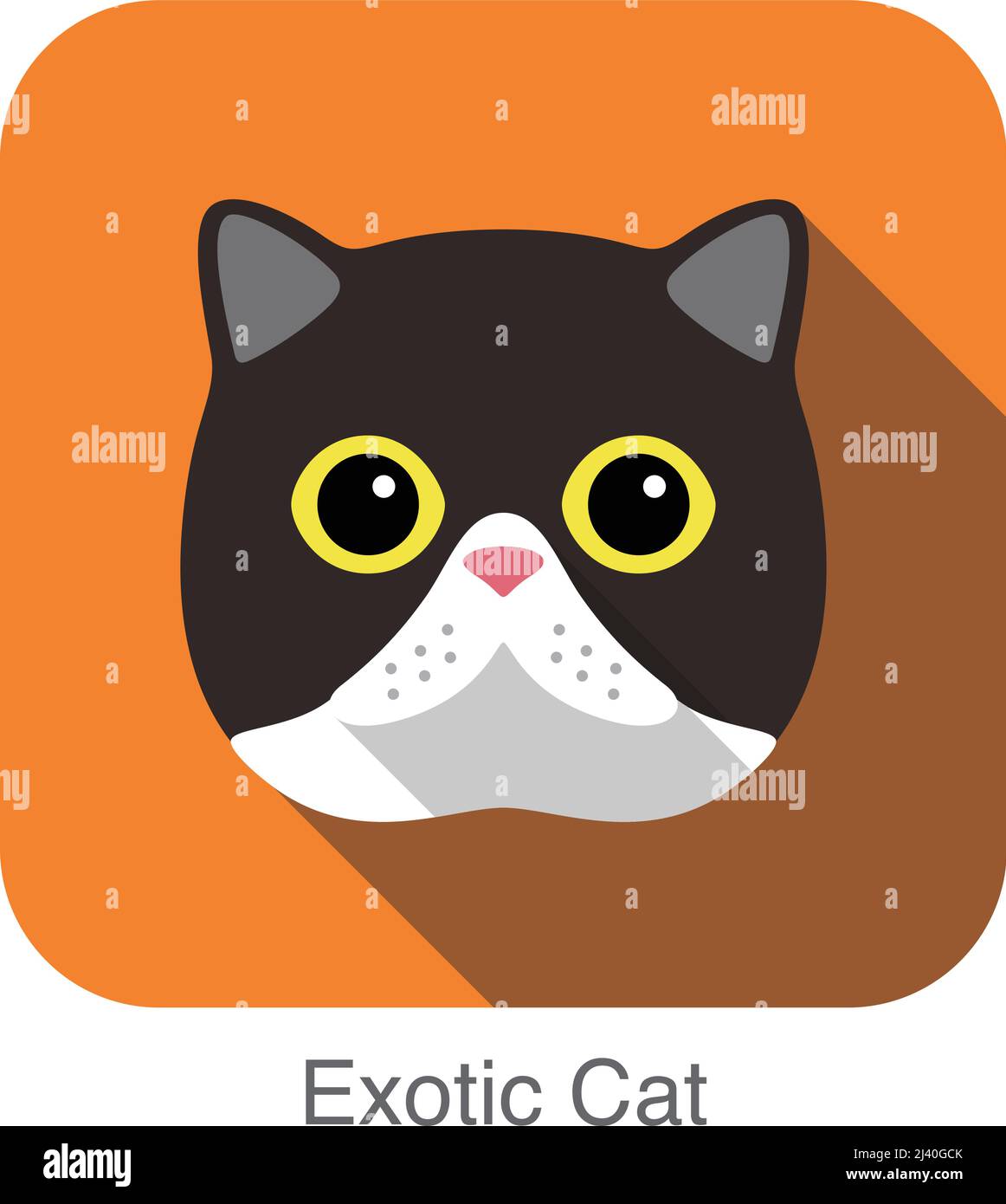 Exotische Katze, Katze Rasse Gesicht Cartoon flache Icon-design Stock Vektor