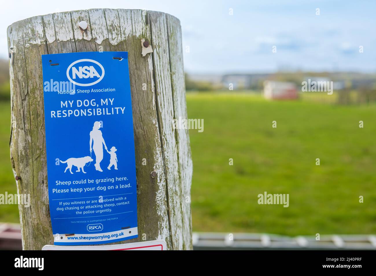 Die National Sheep Association (NSA) unterzeichnet einen Zaunposten, in dem Hundebesitzer die Verantwortung für ihre Hunde übernehmen, um sicherzustellen, dass keine Tierschäden verursacht werden. Stockfoto