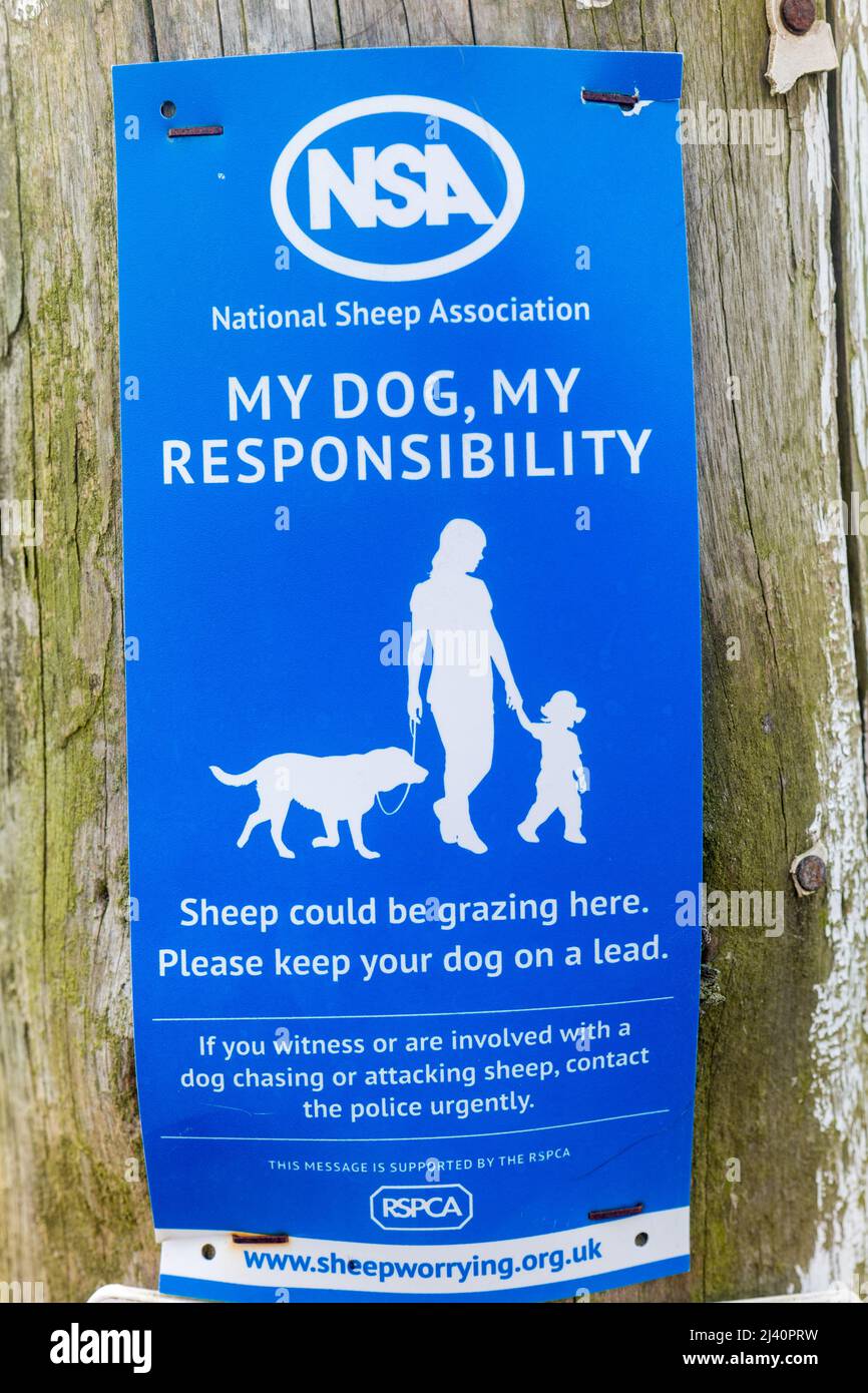 Die National Sheep Association (NSA) unterzeichnet einen Zaunposten, in dem Hundebesitzer die Verantwortung für ihre Hunde übernehmen, um sicherzustellen, dass keine Tierschäden verursacht werden. Stockfoto