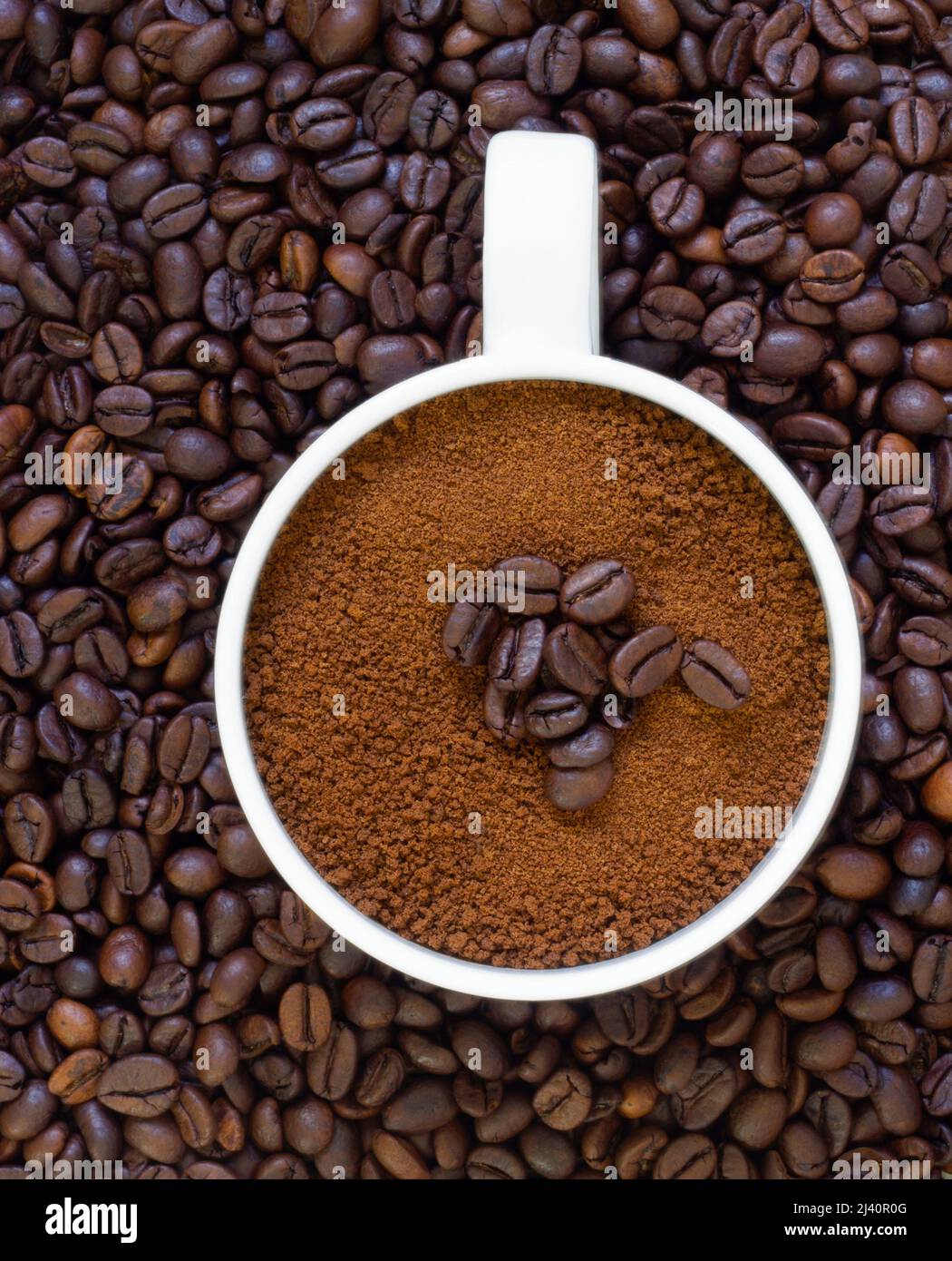 Kaffeebohnen auf dem Boden und frisch gerösteter Kaffee in der Tasse Stockfoto