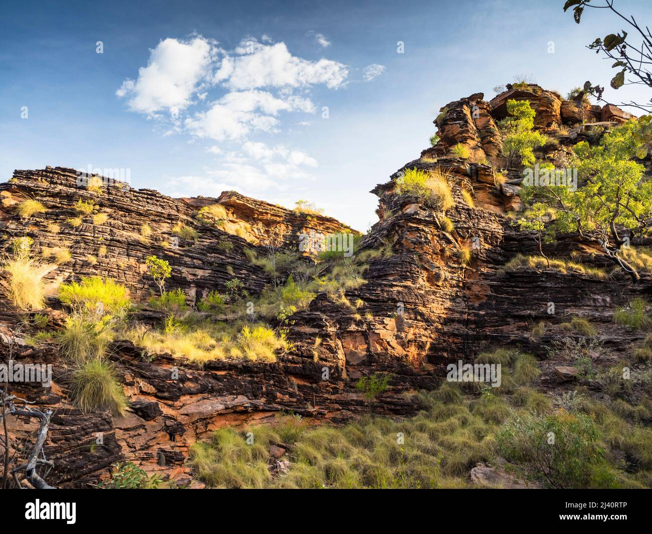 Zerklüfteter Quarzsandstein und konglomerat karstige Aufschlüsse im Mirima National Park, East Kimberley Stockfoto