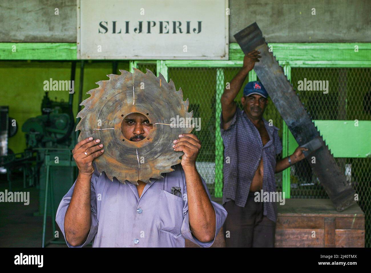 Surinam, Paramaribo - Mitarbeiter im Sägewerk einer Holzfabrik, die eine zu schärfende Säge zeigt. Stockfoto