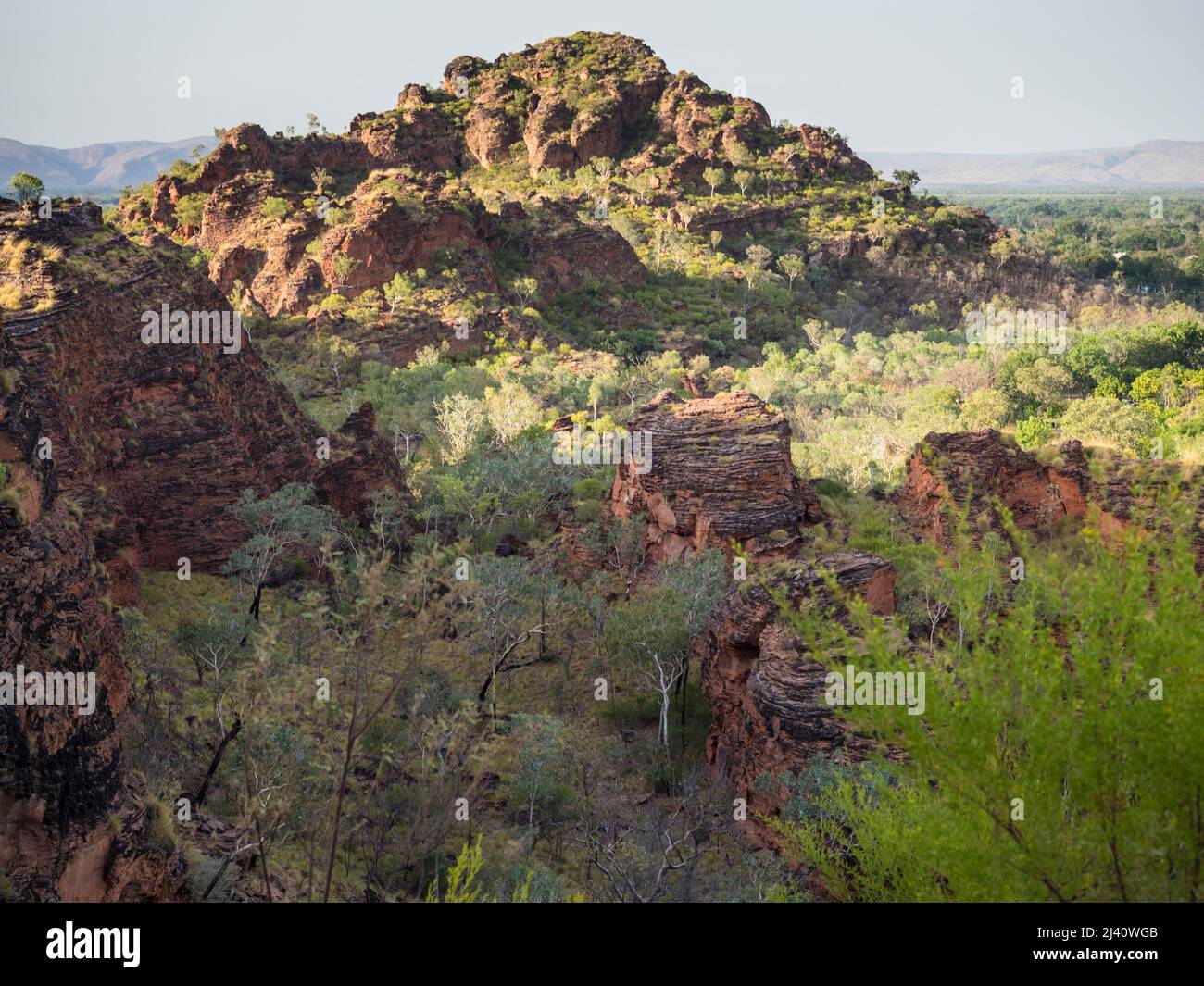 Zerklüfteter Quarzsandstein und konglomerat karstige Aufschlüsse im Mirima National Park, East Kimberley Stockfoto