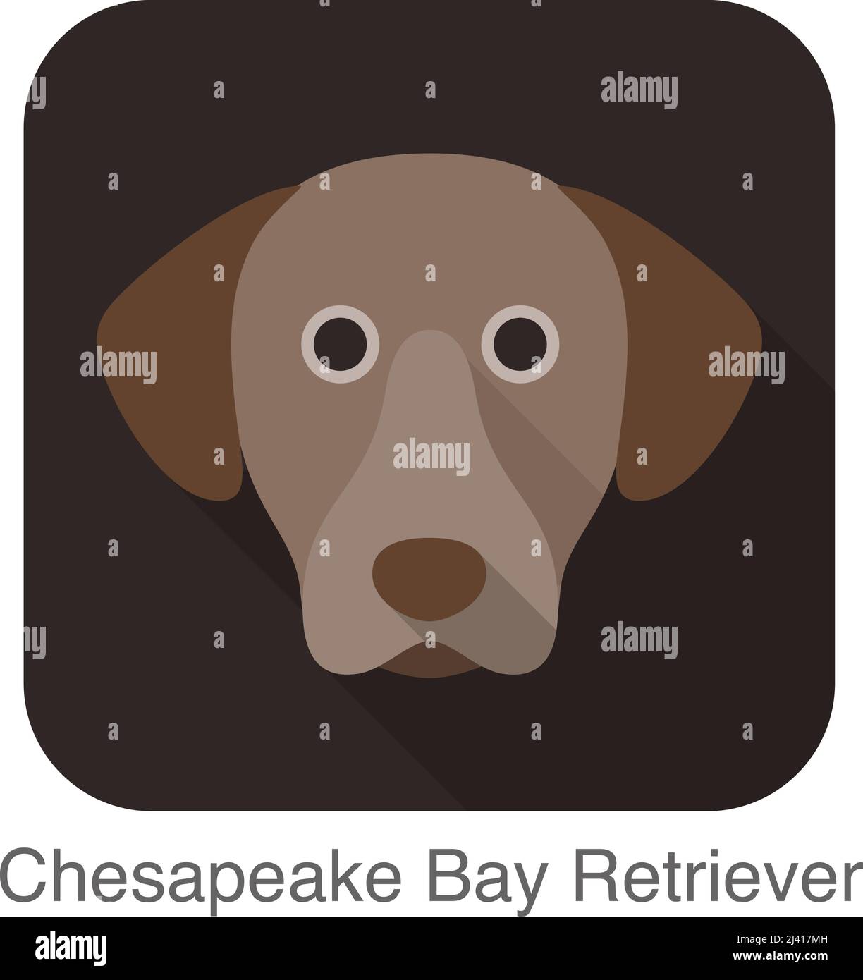 Chesapeake Bay Retriever Hund flache Gesichtssymbol, Dog-Serie Stock Vektor