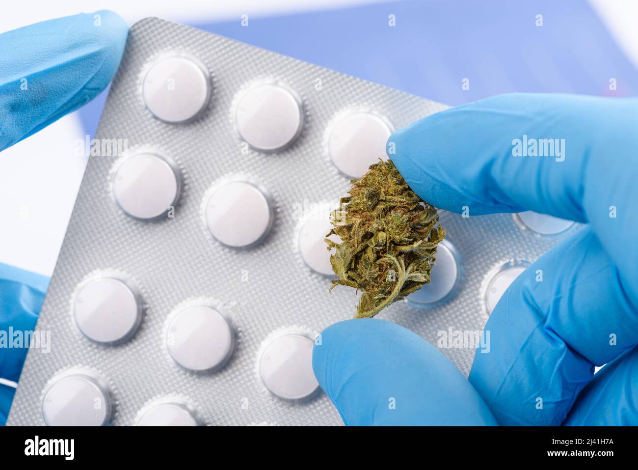 Wissenschaftler in Handschuhen halten medizinische Pillen Blister in der einen Hand und CBD Cannabis Blume Knospe in der anderen Stockfoto